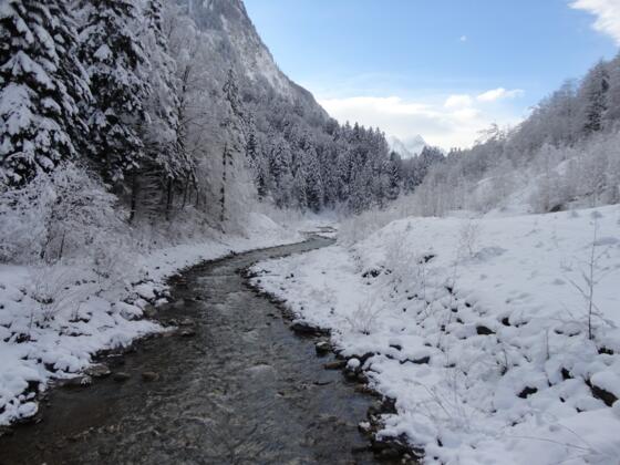 Winterwandern am Wiesleweg in Brand