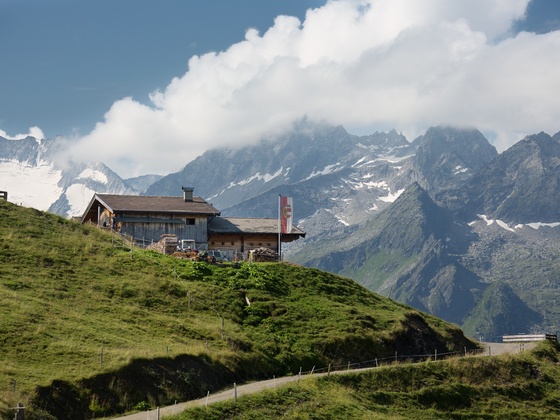 Gletscherblick Alm