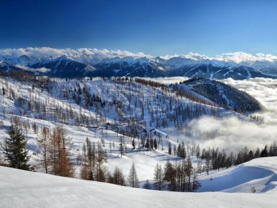 Panoramaaussicht - Ramsau Almenregion