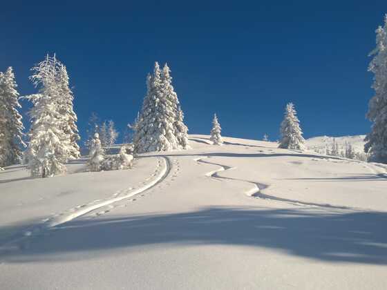 Skitour Gstoder