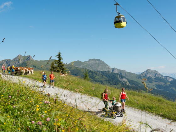 Wandern am Kinderwagenweg