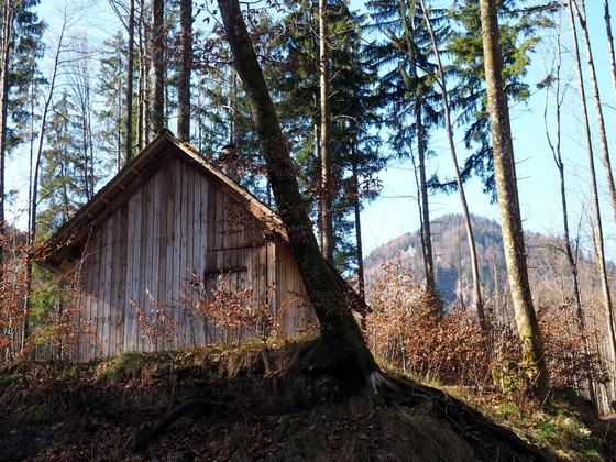 Jagdhütte 570m