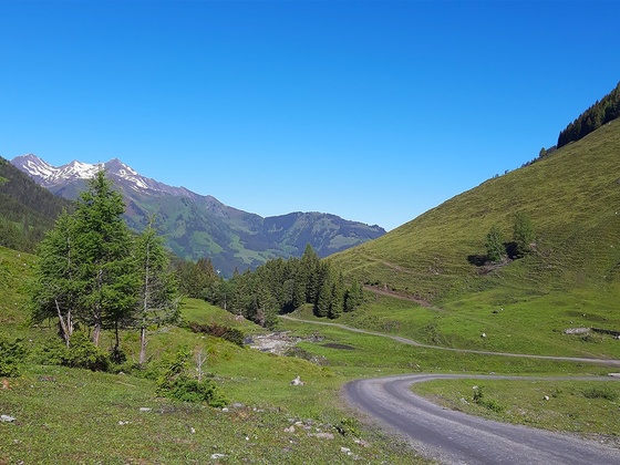 Mountainbike Tour durch das Sulzbachtal in Fusch