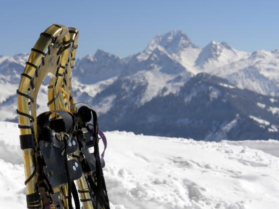 Winter- bzw. Schneeschuhwanderung zur Gaßner Alpe