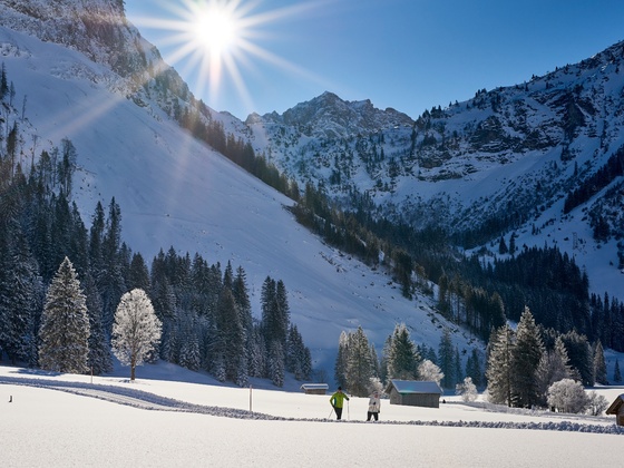 Im Naturschutzgebiet Vilsalpsee