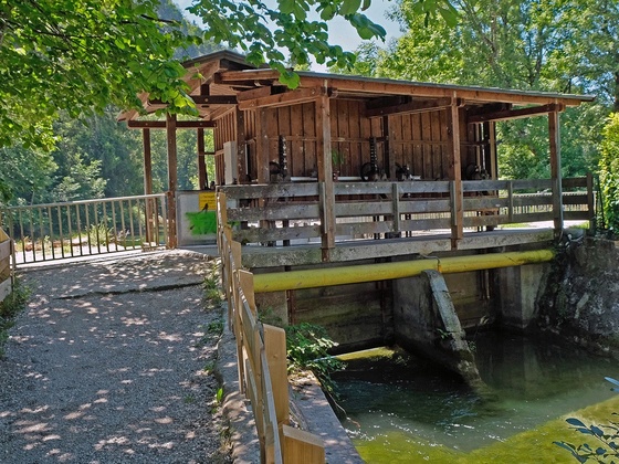 Wehranlage Kohlstatt - Station 10 Kieferer Energiewanderweg