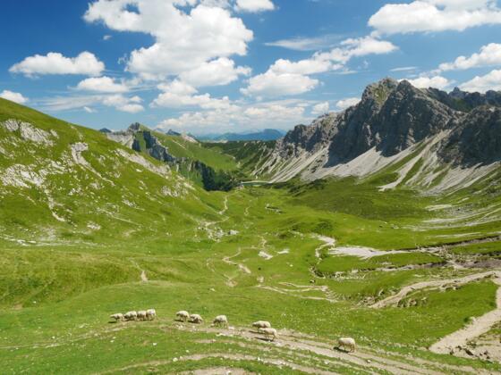 Blick vom Westl. Lachenjoch auf die Norwand der Lachenspitze, die Lache und die Landsberger Hütte