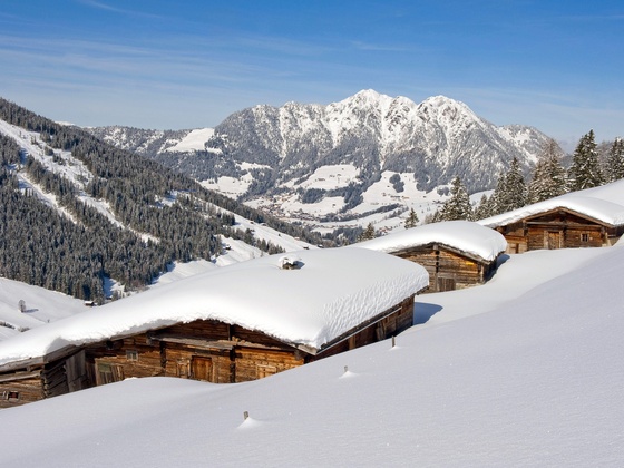 Winterlandschaft Stettauer Alm im Greiter Graben Alpbach