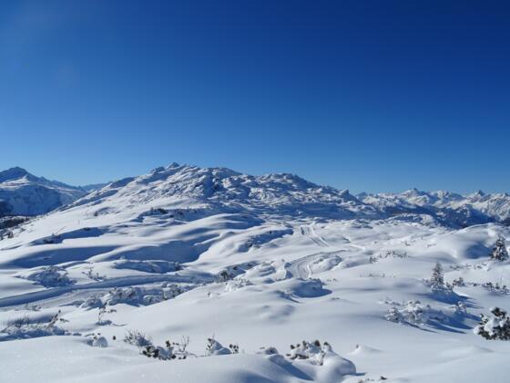 Blick hinauf zum Muttjöchle