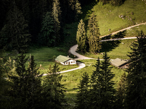 Blick vom Königsweg zur Königsbachalm
