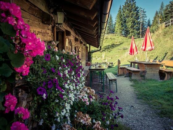 Brentenjochalm Wandern Einkehr  Terrasse Nazurerlebnis Kaisergebirge