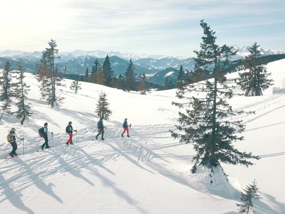 Schneeschuhwanderung auf den Gerzkopf