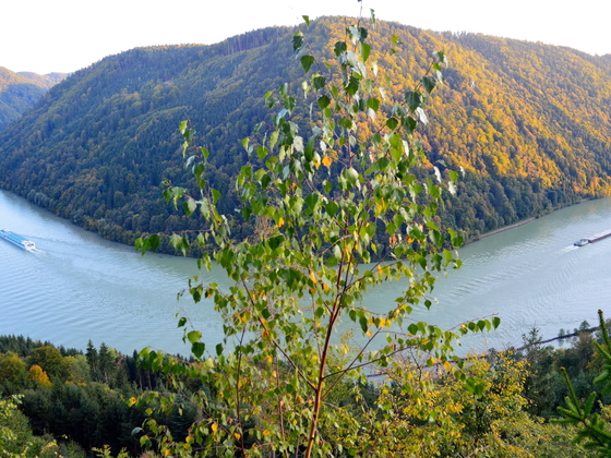 Donaublick