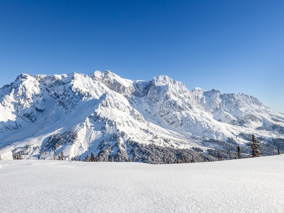 Skitour