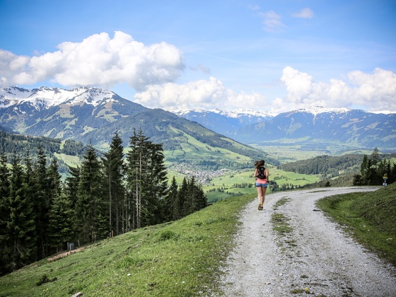 Easy Trail