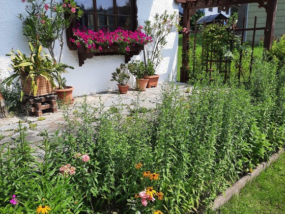 Blumen vor dem Haus