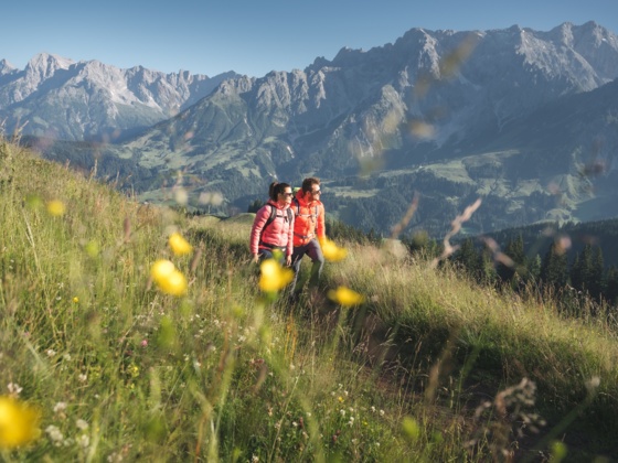 Panoramareiche Wanderung rund um Hinterthal