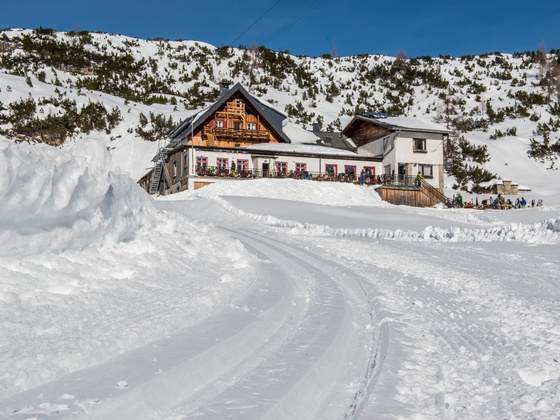 Höhenloipe Dachstein Krippenstein Gjaid Alm