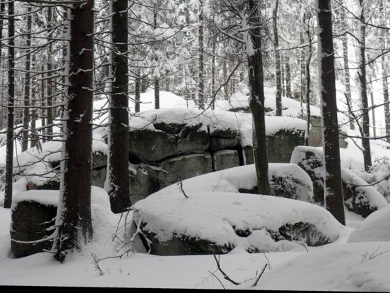 Pilzstein ~980m im Winter