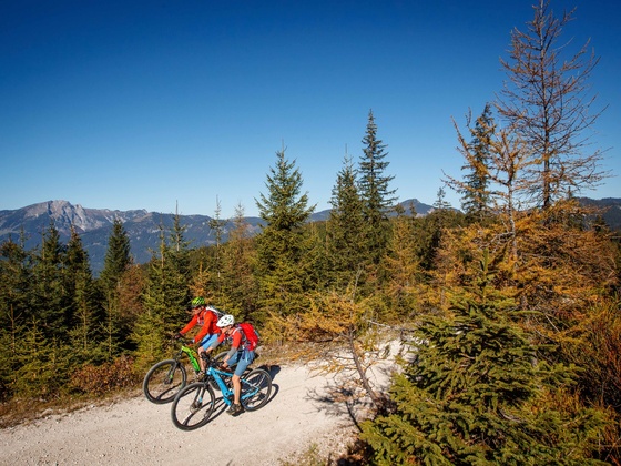Mountainbiken in Gosau entlang der Plassenrunde