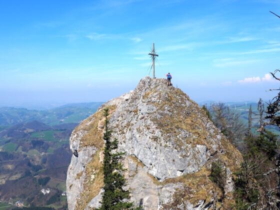 Steinerner Jäger 1185m vom Gratkamm gesehen