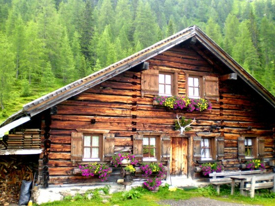 Steinkaralm in Kleinarl