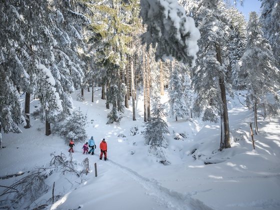 Winterwandern
