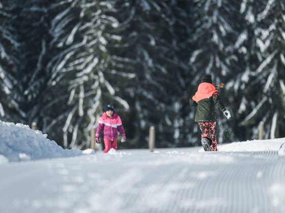 Traumhafte Winterlandschaft