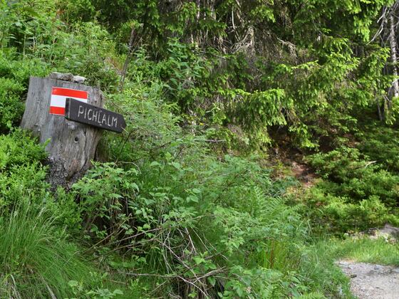Weg zur Pichlalm