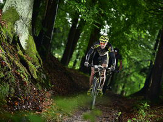 Altenfelden Runde