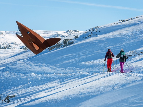 Schneeschuhtrail Dachstein-Hai