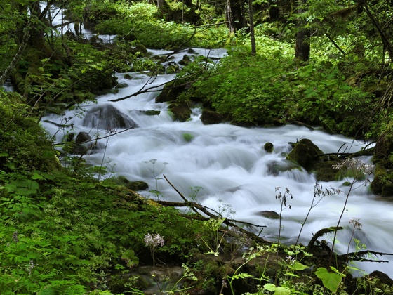 Salzkammerweg