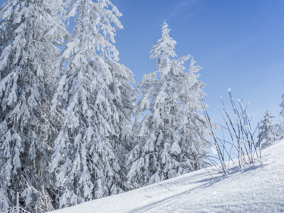 Winterlandschaft