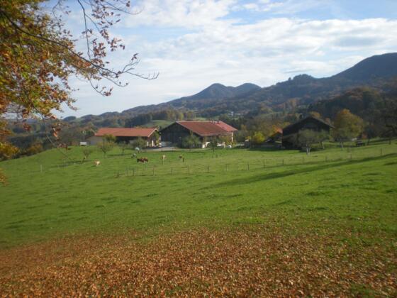 Blick auf die Hinterseite mit Stall