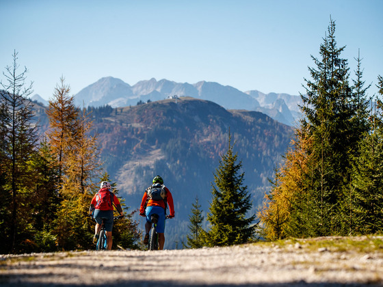Panorama Mountainbike auf den Hornspitz in Gosau