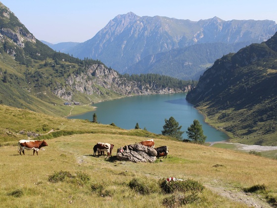 Der Tappenkarsee