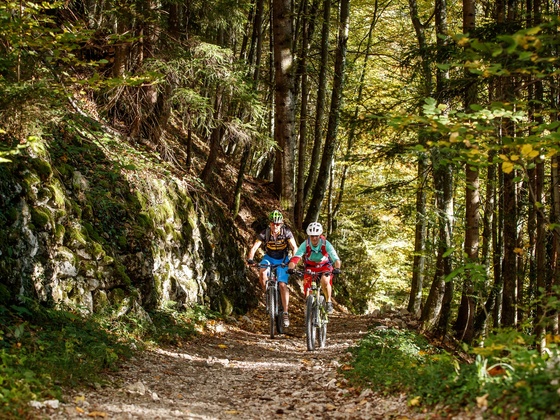 Trail Abschnitt auf der Natur Genuss Runde mit dem E-Bike