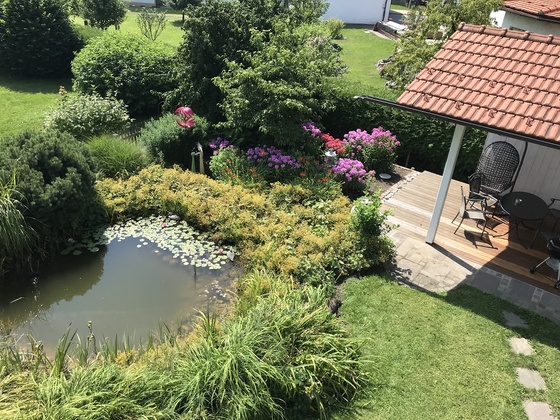 Blick von oben zum Teich und Freisitz