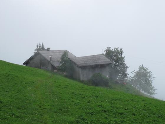 Hof am Hensler, Dünserberg
