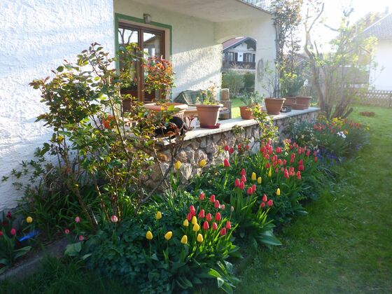 Der Garten