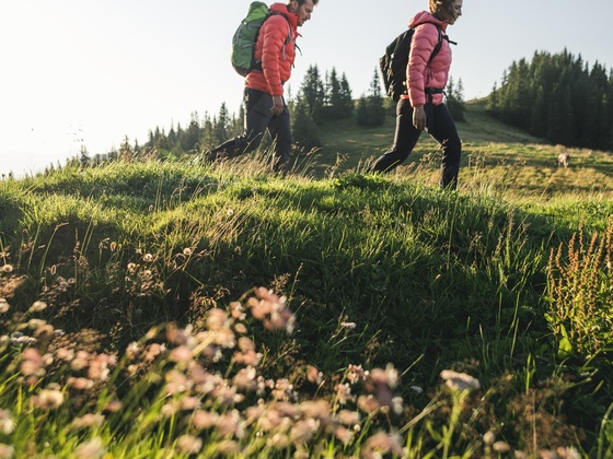 Wandern