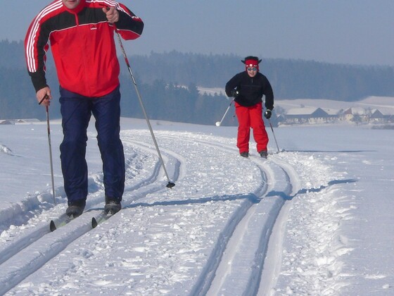 Loipen in Neustift ob der Donau