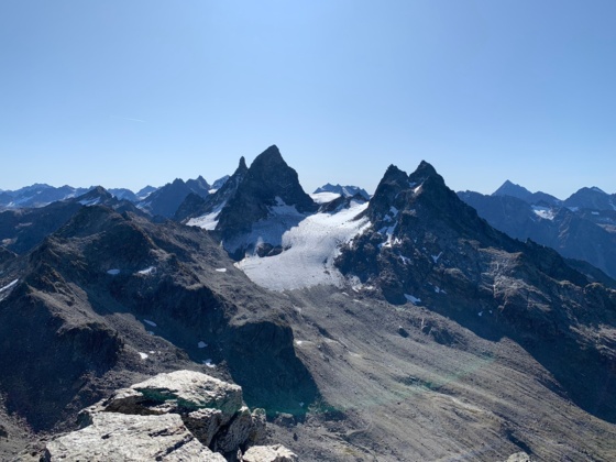 Großes Seehorn