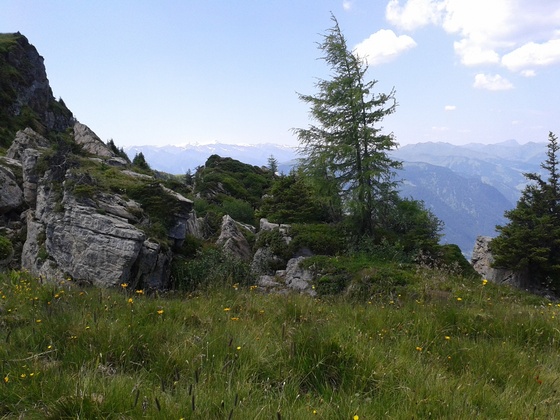 Weg zur Schwalbenwand