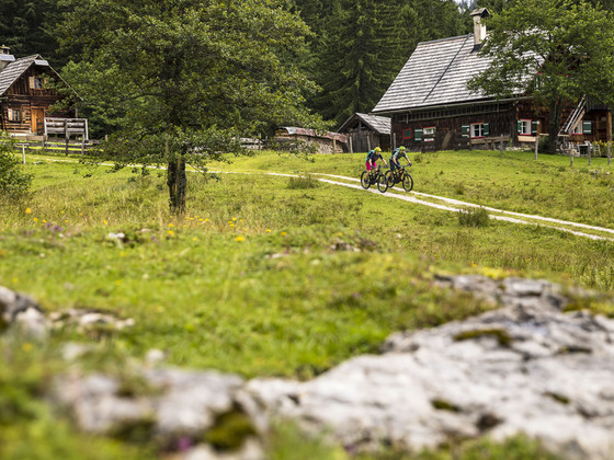 Mountainbiken zwischen Oberösterreich und Steiermark