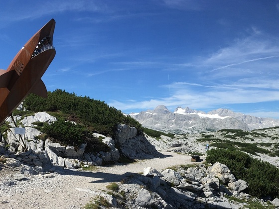 Landschaftsfoto mit Dachstein-Hai und Gletscher