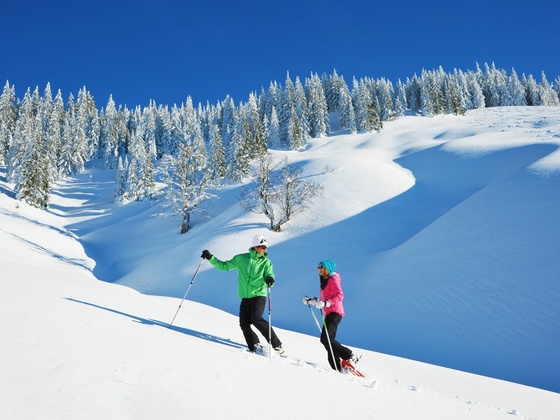 Schneeschuhwandern