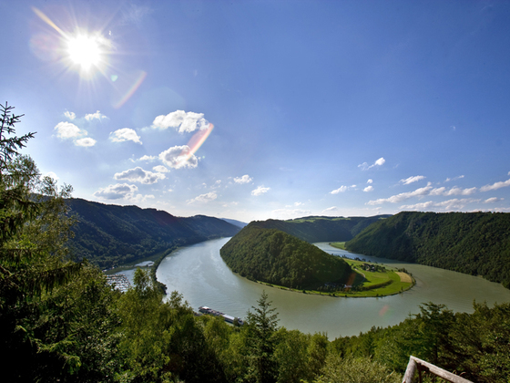 Naturwunder Donauschlinge Schlögen