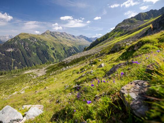 Blick zum Fellimännle und Lobspitze