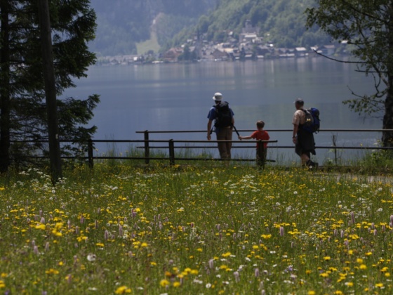 Ostuferwanderweg zwischen Bad Goisern am Hallstättersee und Obertraun